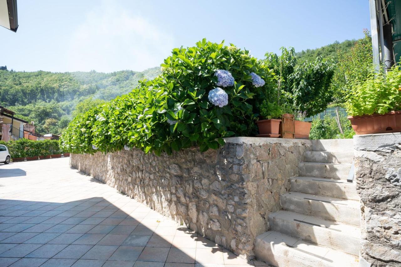 トラモンティ Apicella Casa Vacanzeヴィラ エクステリア 写真