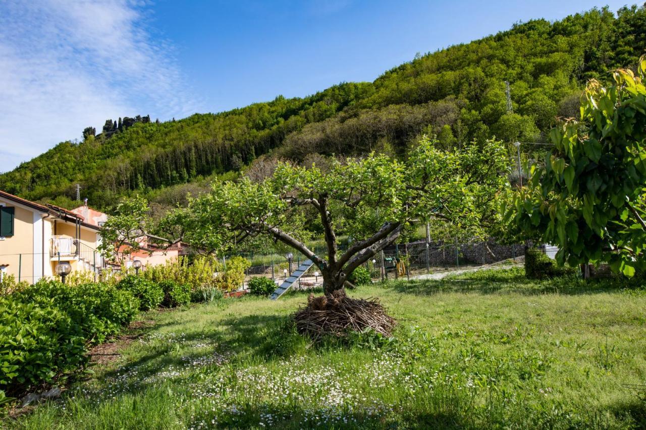 トラモンティ Apicella Casa Vacanzeヴィラ エクステリア 写真